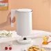 Чайник Xiaomi Mijia 2 Smart Kettle White Global Version
